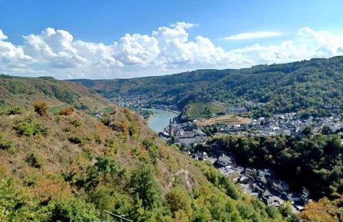 Ruhig gelegende Ferienwohnung an der Mosel - Foto 15