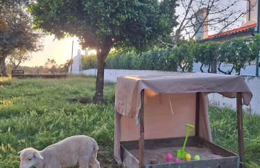 Quinta da Fé - Foto 30