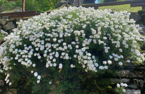 CASA VACANZA LA TERRAZZA - Foto 17
