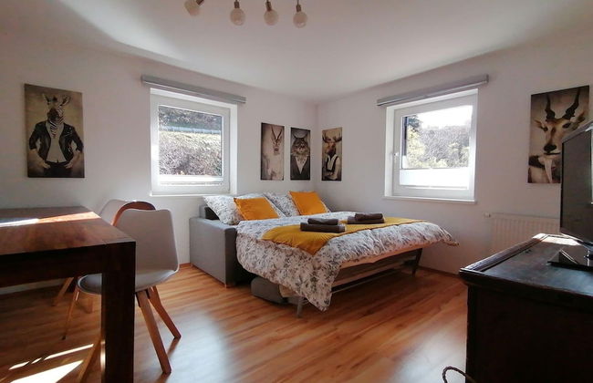 Apartment in Dienten Near Gabuhel Ski Lift - Foto 3