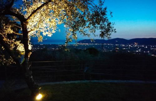 A CASA DI OLIVO - Foto 52