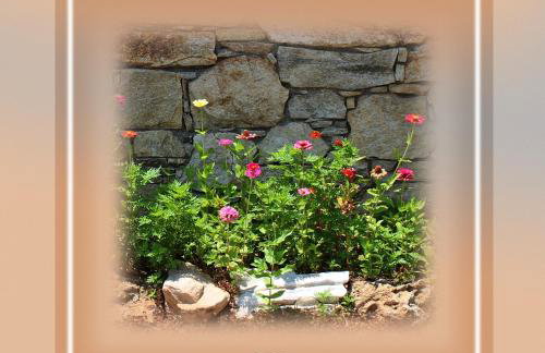 Ikaria Utopia - Cusco Studios - Photo 55