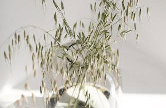 ZEN Minimal Luxury Housing Tyros - Foto 30