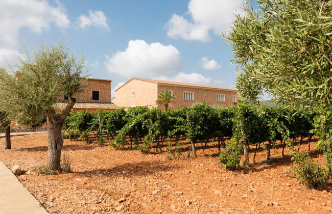 Visitar Bodegas Angel com Degustação de Vinhos - Foto 1