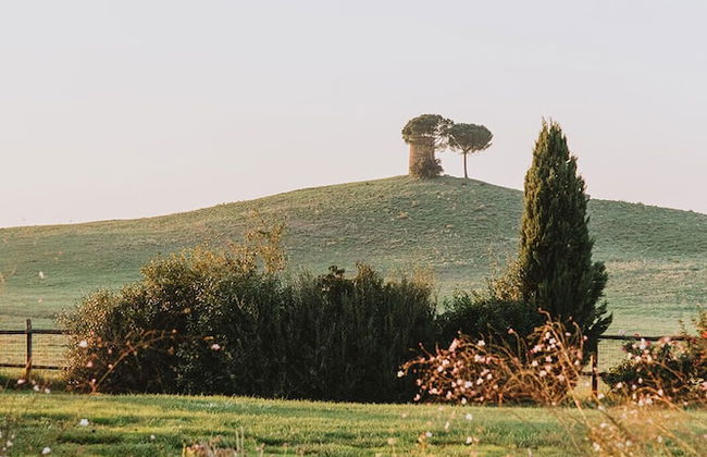 Relais Sant'Elena - Foto 72