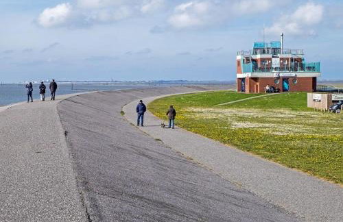 Clematis I - Foto 16