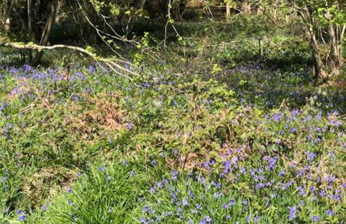 1 Bedroom Apartment Sleeps 2 - Pets Welcome - Tv - Foto 10