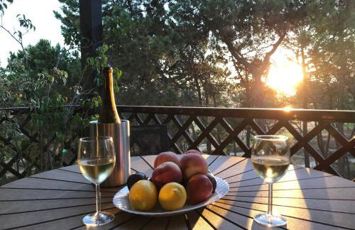 Excellent T2 apartment with pools 400m Falesia beach - Foto 1