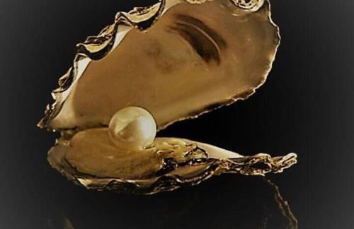 La perla bianca - Foto 16