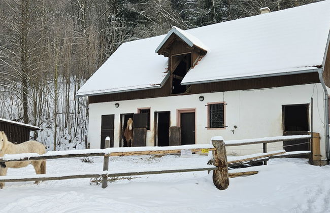 3 bedroom House in Stárkov with swimming pool and garden - Photo 35