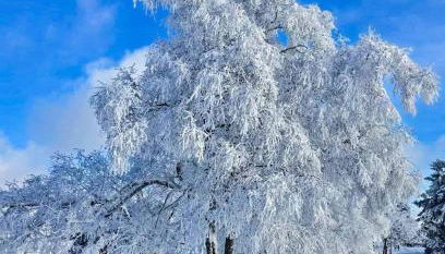Appartement Am Skihang Altastenberg 1 km zum Skikarusell Winterberg - Photo 2