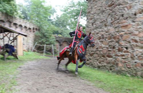 Schloß Auerbach Kleine Ferienwohnung - Foto 23