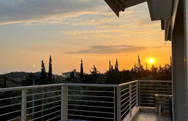 Summer Villa Lagonissi - Foto 43