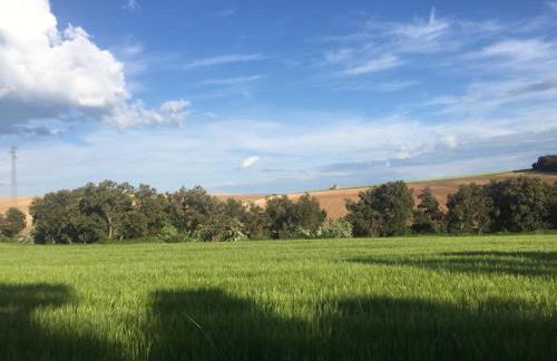 El Carro del Abuelo - Foto 25