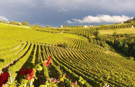 Casa Vacanza ElyD House - Foto 13