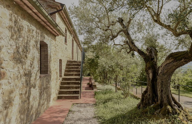 Il Mulino delle Canutole - Foto 66