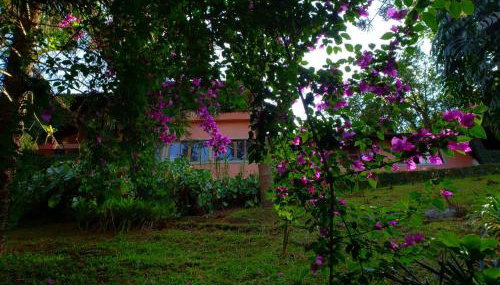 Casa Fazenda Inglesa Petrópolis RJ - Foto 2