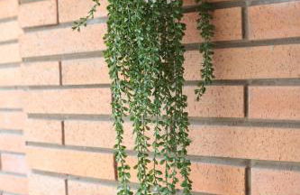 Modern Apartament al costat del Parc de la Devesa - Foto 28