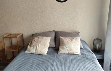 Pla d' Adet, appart 4 personnes Résidence le Grand Stemm , station de ski Saint Lary , pieds des pistes et randonnées - Photo 17