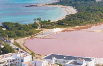 Apartamentos Andreas - Foto 21