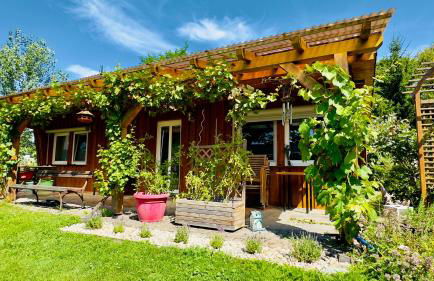 Seezeit Storkow & romantisches Baumhaus - Foto 1