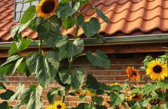 Rezydencja Masuria - Foto 51