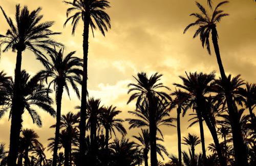 Casa Esmeralda - holiday apartment Costa Blanca - Photo 69