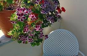 Studio Despoina - Foto 36