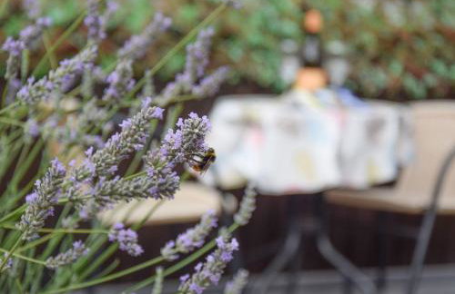 Caines Cottage - Foto 22