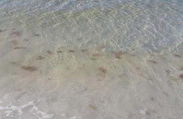 #1 Island Hideaway PICK ME!!! - Foto 35