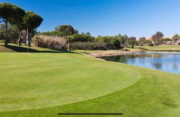 Kiko Las Americas - Photo 33