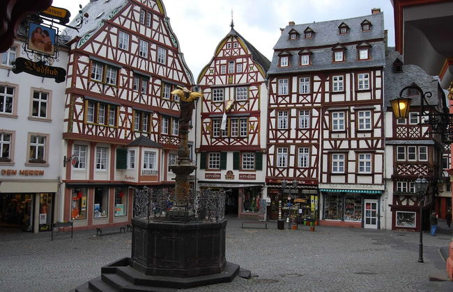 Holiday Home Moselle With Private Sauna - Photo 20