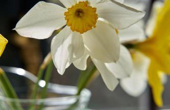 Sandy Cove Cottage - Foto 30