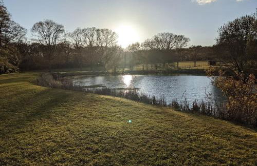 The Barn New Forest Free Paddle boarding & free Zip wire. - Foto 11