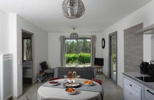 Les Lodges du Pic - Foto 3