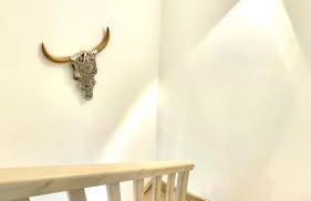 Les Gîtes de la Chapelle 3 - Photo 74