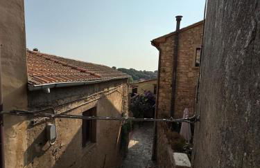 La Casina Two-room apartment in the historic center of Bibbona - Foto 2