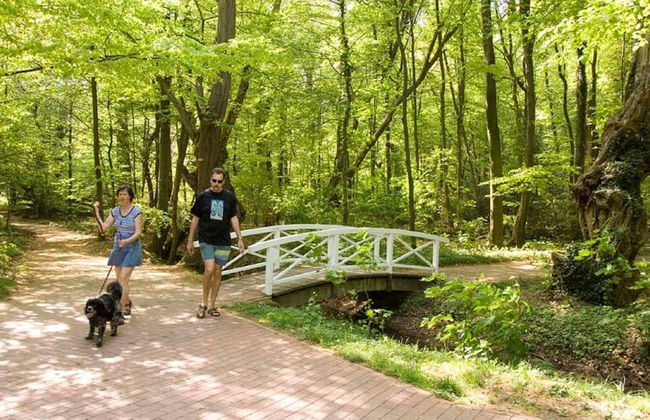 Bad Bentheim Family Retreat - Foto 17