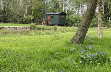 Heywood Glamping - Foto 9