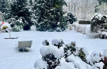 Idas Garten - Foto 50