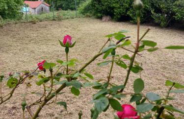 Ονειροπαγιδα - Photo 71