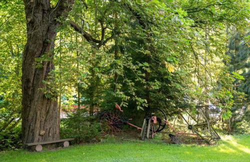 Góry Sowie Agroturystyka - Foto 21