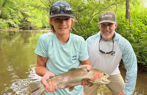 The cozy Lazy Laurel with year-round mountain views, hot tub, fire pit - Foto 21