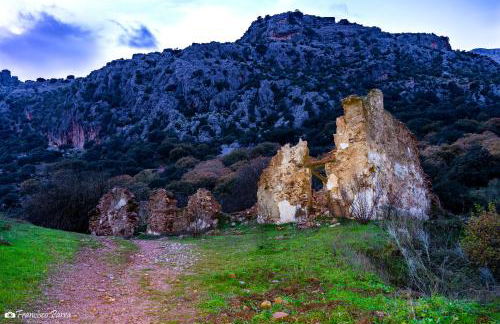 Casa Rural Los Cipreses - Photo 50