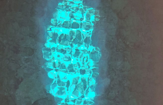 2bed-vila-verde Sal Cape Verde-balcony-pool - Foto 18