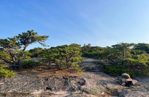 Talleyrand - Foto 49