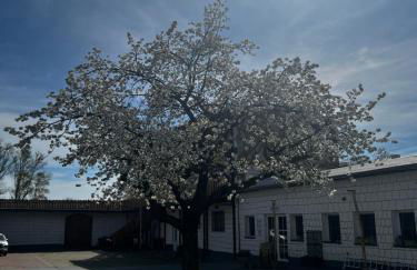 Unseburger Brauhaus GmbH Ferienwohnung 4 - Foto 68