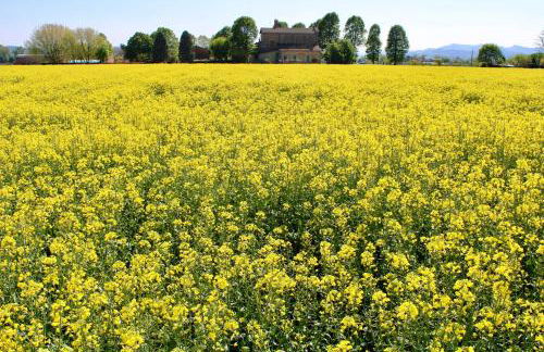 Agriturismo Ravaglia Grande - Photo 33