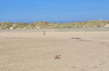 Seasalt Apartment - Foto 10