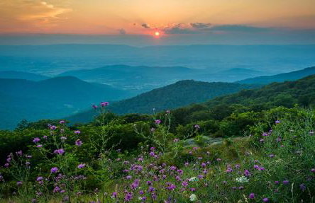 Mountain Whispers - Modern Chic Near Shenandoah National Park - Foto 45